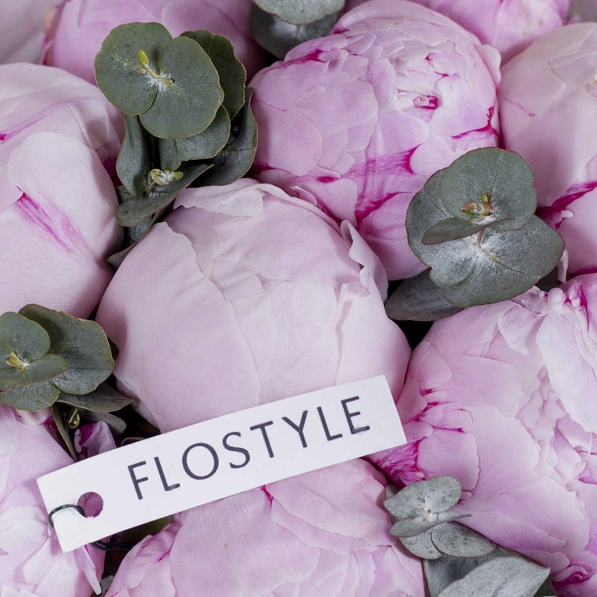 buket iz 9 pionov rozovyh piony sara bernard 7